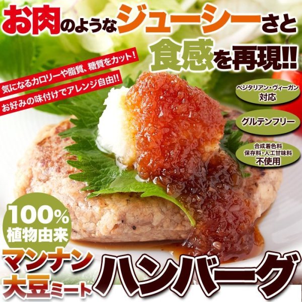 画像1: 送料無料【ゆうパケット出荷】100％植物由来の新感覚ハンバーグ!!マンナン大豆ミートハンバーグ90g×3袋 (1)