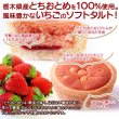 画像3: 送料無料 栃木県産とちおとめ100%使用！甘酸っぱい風味がお口に広がる☆いちごタルト22個 (3)