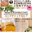 画像6: 送料無料  海外セレブの間で人気沸騰!!菌活系ドリンクKombuchaでキレイに★コンブチャハーバルブレンドティーメガ盛り100包 (6)