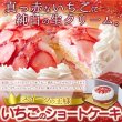 画像2: 送料無料 スイーツの王様！たっぷり生クリームといちごのショートケーキ≪冷凍≫ (2)