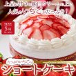 画像3: 送料無料 スイーツの王様！たっぷり生クリームといちごのショートケーキ≪冷凍≫ (3)