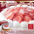 画像7: 送料無料 スイーツの王様！たっぷり生クリームといちごのショートケーキ≪冷凍≫ (7)