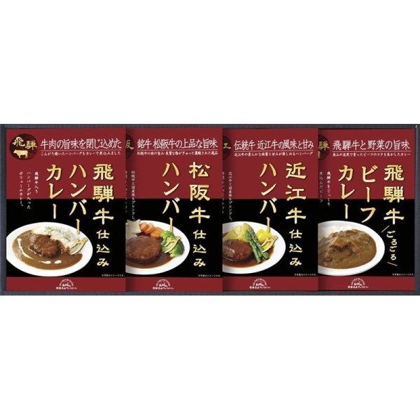 画像1: 飛騨高山ファクトリー・・松阪牛・近江牛・飛騨牛仕込みハンバーグ＆カレー詰合せ・C5201076 (1)