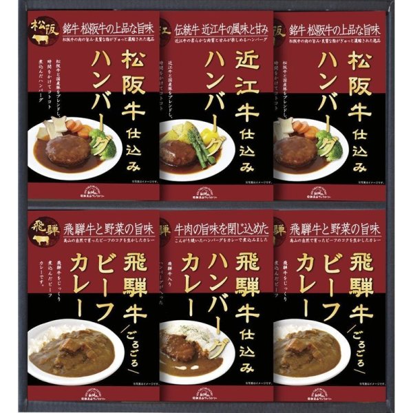 画像1: 飛騨高山ファクトリー・・松阪牛・近江牛・飛騨牛仕込みハンバーグ＆カレー詰合せ・C5201080 (1)