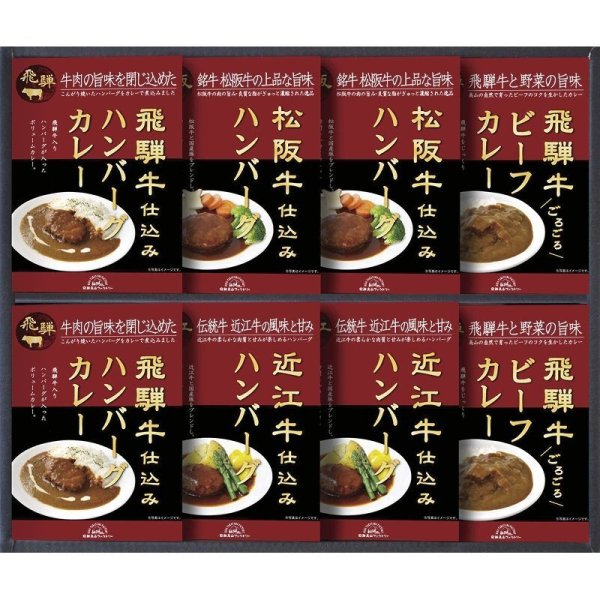 画像1: 飛騨高山ファクトリー・・松阪牛・近江牛・飛騨牛仕込みハンバーグ＆カレー詰合せ・C5201097 (1)