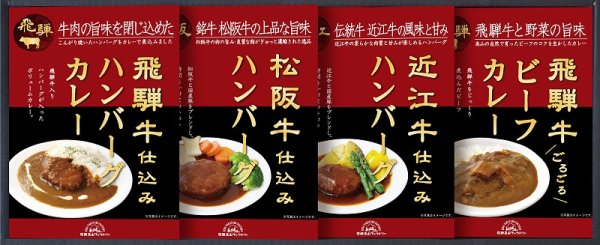 画像1: 飛騨高山ファクトリー　松阪牛・近江牛・飛騨牛仕込み　ハンバーグ＆カレー詰合せ【YG036361】 (1)