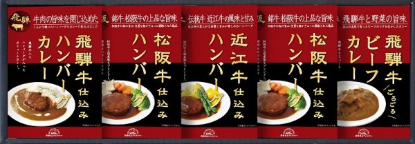 画像1: 飛騨高山ファクトリー　松阪牛・近江牛・飛騨牛仕込み　ハンバーグ＆カレー詰合せ【YG036362】 (1)