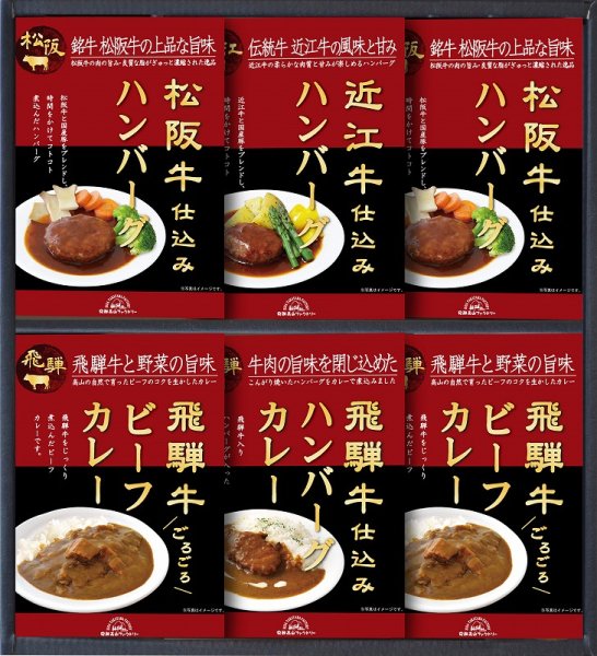 画像1: 飛騨高山ファクトリー　松阪牛・近江牛・飛騨牛仕込み　ハンバーグ＆カレー詰合せ【YG036363】 (1)