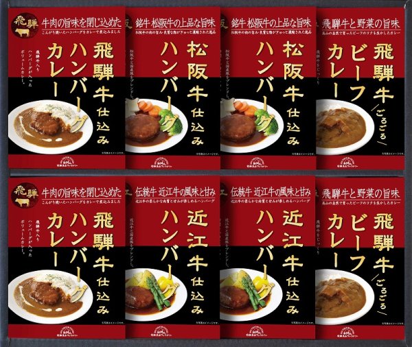 画像1: 飛騨高山ファクトリー　松阪牛・近江牛・飛騨牛仕込み　ハンバーグ＆カレー詰合せ【YG036364】 (1)